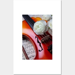 White  Ranunculus On Baroque Violin Posters and Art